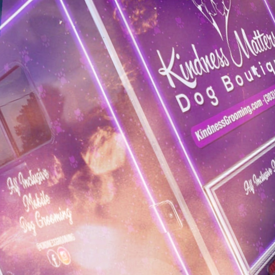 A purple dog shop with neon lights in the window.