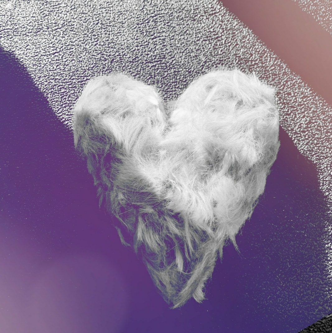 A heart made of feathers on the ground.