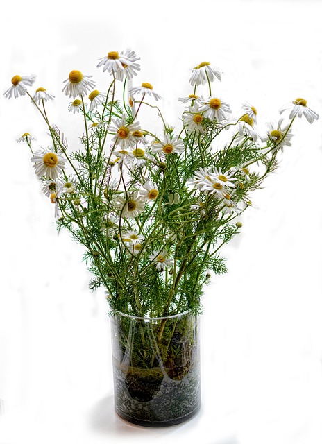 A glass vase with some white flowers in it