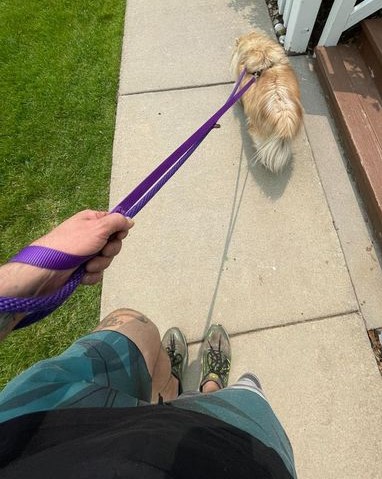 A person holding onto the leash of their dog